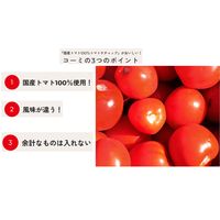 国産トマト100％トマトケチャップ 300g 1セット（1本×3） コーミ