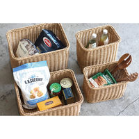 クレエ バスケット 収納 ユティルナイール スタンダードストレージ ロー L 470826 1個（直送品）