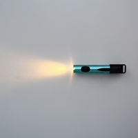 三和製作所 ヒューマンライト 瞳孔ゲージ付 グリーン LED 00364598 1本