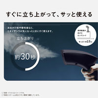 パナソニック 衣類スチーマー NI-GS420-K 1台