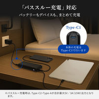 オウルテック バッテリー残量が数値で分かる 20000mAh PD60W モバイルバッテリー OEC-LPB20017-BK 1個