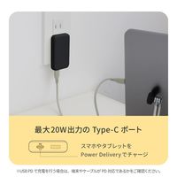 オウルテック 薄さ13mm 最大PD20W出力 GaN採用 AC充電器 OEC-APD20A1C1G-BK 1個