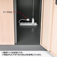 サンワサプライ 縦型パーソナルロッカー2列タイプ PLK-TWT2H120LM 1台（直送品）