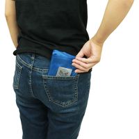 池田工業社 エコバック ブルーインパルス 3600080 1個（直送品）