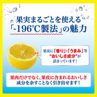 チューハイ -196 ザ・まるごとみかん 350ml 1ケース（24本） サワー 缶チューハイ 酎ハイ