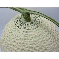 【食品サンプル】 果物専科 マスクメロン(大) 3001 日本サンプル 1個（直送品）