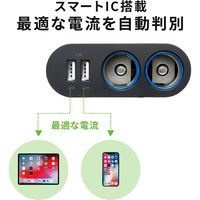サンワサプライ USBチャージャー付2連ソケット(2ポート・4.8A) CAR-CHR78CUN 1個（直送品）