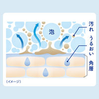 ビオレu ビオレ ザ ハンド 泡ハンドソープ シフォンローズの香り ポンプ 本体 250mL 1個 花王