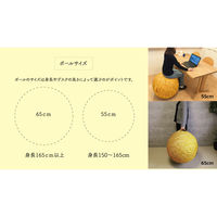 グローバルアロー 北欧デザインのバランスボール R04-6003 moiku Balance Ball B-P 55　1個（直送品）