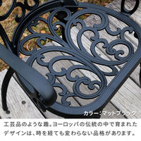 住まいスタイル アルミ製アームチェア 2脚セット 「トルペ」 BKS-C5289-2P-BLK 1セット（直送品）