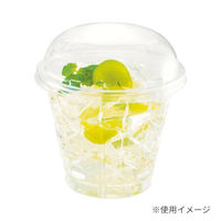 リスパック 透明カップ バイオ キラリス 101パイ390B キリコ PRTP010 1袋(25個)（直送品）