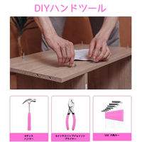 エーインサイト 家庭用・女性用ハンドツールセット AI-TS01 1セット（直送品）