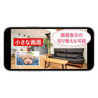 キャロットシステムズ Wi-Fiカメラ屋内用 ダブルカメラ首振り AT-752 1台（直送品）