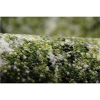 イケヒコ ガイア 玄関マット 700×1200mm グリーン 1311050016401 1枚（直送品）