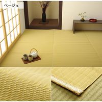 イケヒコ・コーポレーション ファームBE江戸間10畳 1090250000000 1枚