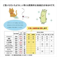 イケヒコ・コーポレーション い草インソール NV 21cm 1120290190412 1セット（直送品）