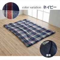 イケヒコ 衛生寝具 ソフィア 掛布団 1500×2100mm レッド 1201351243503 1枚（直送品）