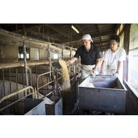 伊賀上野直売所　さくらポーク生ハンバーグ　HB10-SP 331148 1セット サンショク（直送品）