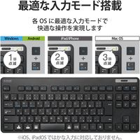 Bluetoothミニキーボード/薄型/メンブレン式/抗菌/マルチペアリング対応/ブラック/簡易パッケージ TK-FBM119KBK/EC（直送品）