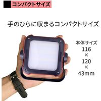 ピースアップ モバイルバッテリー in ランタン 10000mAh 10001107 1個