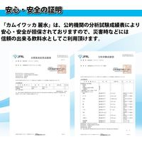 【10年保存水】 ジャパン・ミネラル ミネラルウォーター「カムイワッカ麗水500ml」24本セット 10001365 1箱（24本入）