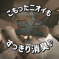 タンスにゴンゴン 衣類の防虫剤 ウォークインクローゼット用 3個入 無臭 1年防虫 防カビ ダニよけ KINCHO キンチョー