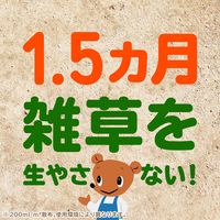アースガーデン おうちの草コロリ 非農耕地用 除草剤 液体 雑草 除去 草取り 安全 食品成分生まれ 1個 6L アース製薬