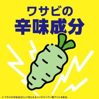 コバエ 駆除 発生予防 アースコバエ ゴミ箱用 シトラスミントの香り 1個 コバエ対策 キッチン ごみ箱 消臭 アース製薬