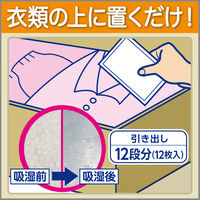 ドライペット 除湿剤 シートタイプ 引き出し・衣装ケース用 (衣類・皮製品用) お徳用 12シート入 1セット（2個） 白元アース