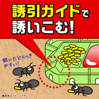 蟻 アリ 駆除 毒餌剤 置き型 スーパーアリの巣コロリ蟻の巣 対策 退治 あり 殺虫剤 家 室内 部屋  4パック（2個入×4） アース製薬