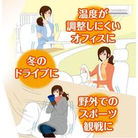 靴下用カイロ エステー オンパックス 上から貼るつま先用カイロ 持続8時間 （5足入）