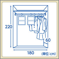 ドライペット 除湿剤 クローゼット用 2枚入 1個