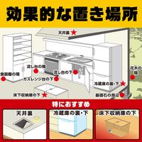 デスモアプロ トレータイプ 強力 殺鼠剤 ネズミ 駆除剤 毒餌剤 置き型 罠 対策 退治 撃退 いなくなる 1箱 アース製薬