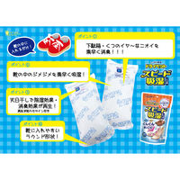 ドライペット 除湿剤 スピード吸湿 くつ用 くりかえし再生タイプ 1足分(150g×2)