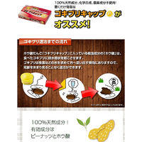 ゴキブリキャップP1 ゴキブリ専用 殺虫剤 1箱（15個） タニサケ