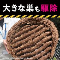 ハチの巣コロリ スズメバチ用 駆除エサ剤 ハチ 蜂 殺虫剤 毒餌剤 誘引剤 ベイト剤 吊り下げ 1箱（2個入） アース製薬
