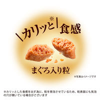 銀のスプーン 三ツ星グルメ 毛玉ケア お魚レシピ 国産 240g（20g×12袋）キャットフード ドライ