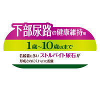 銀のスプーン 三ツ星グルメ 下部尿路の健康維持用 1歳～10歳頃まで お魚レシピ 国産 240g（20g×12袋）キャットフード ドライ