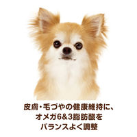 ベストバランス チワワ用 鶏ささみ・緑黄色野菜・キャベツ入り 60g 72袋 ユニ・チャーム