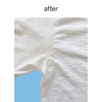 ドクターベックマン プレウォッシュ デオ&スウェット 部分洗い洗剤 ワキ汗ジミ&消臭用 250ml イーオクト