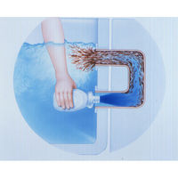 エステー 洗浄力（センジョウリキ） フロ釜クリーナー 1セット（2個）