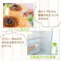 激落ちくん セスキ 泡 スプレー 掃除 400ml レック (C00134)