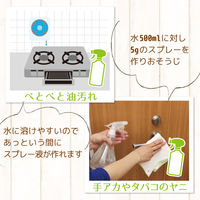 激落ちくん セスキ炭酸ソーダ 500g 掃除 1セット（2個） レック (C00131)