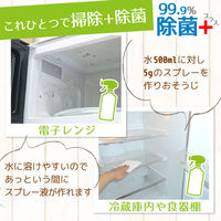 激落ちくん セスキ炭酸ソーダ 除菌プラス 300g レック