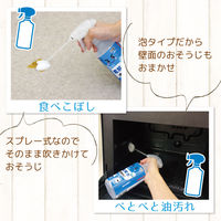 激落ちくん アルカリ 電解水 泡 スプレー 掃除 400ml レック (C00156)