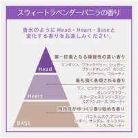 レイヴィー フォームボディシャンプー 泡　ボディソープ(ボディウォッシュ)　ラベンダー 詰め替え 900ml 3個 アクシス