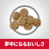 サイエンスダイエット シニアライト 肥満傾向の高齢犬 7歳以上 チキン 3kg 2袋 日本ヒルズ ドッグフード ドライ