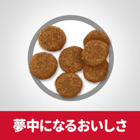 サイエンスダイエット（SCIENCE DIET）ドッグフード アダルト 成犬用 ラム＆ライス 3.3kg 日本ヒルズ