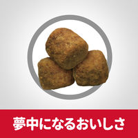 サイエンスダイエット アダルト 成犬用 1歳～6歳 大型犬種 チキン 12kg 2袋 日本ヒルズ ドッグフード ドライ