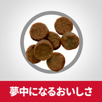 ドッグフード サイエンスダイエット 犬 パピー 子犬用 母犬用 12ヵ月まで 大型犬種 チキン 12kg ヒルズ ドライ